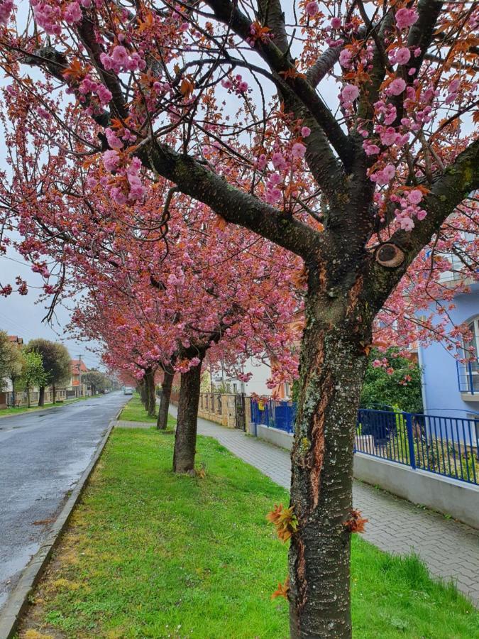 Laguna Apartmanhaz Héviz Zewnętrze zdjęcie