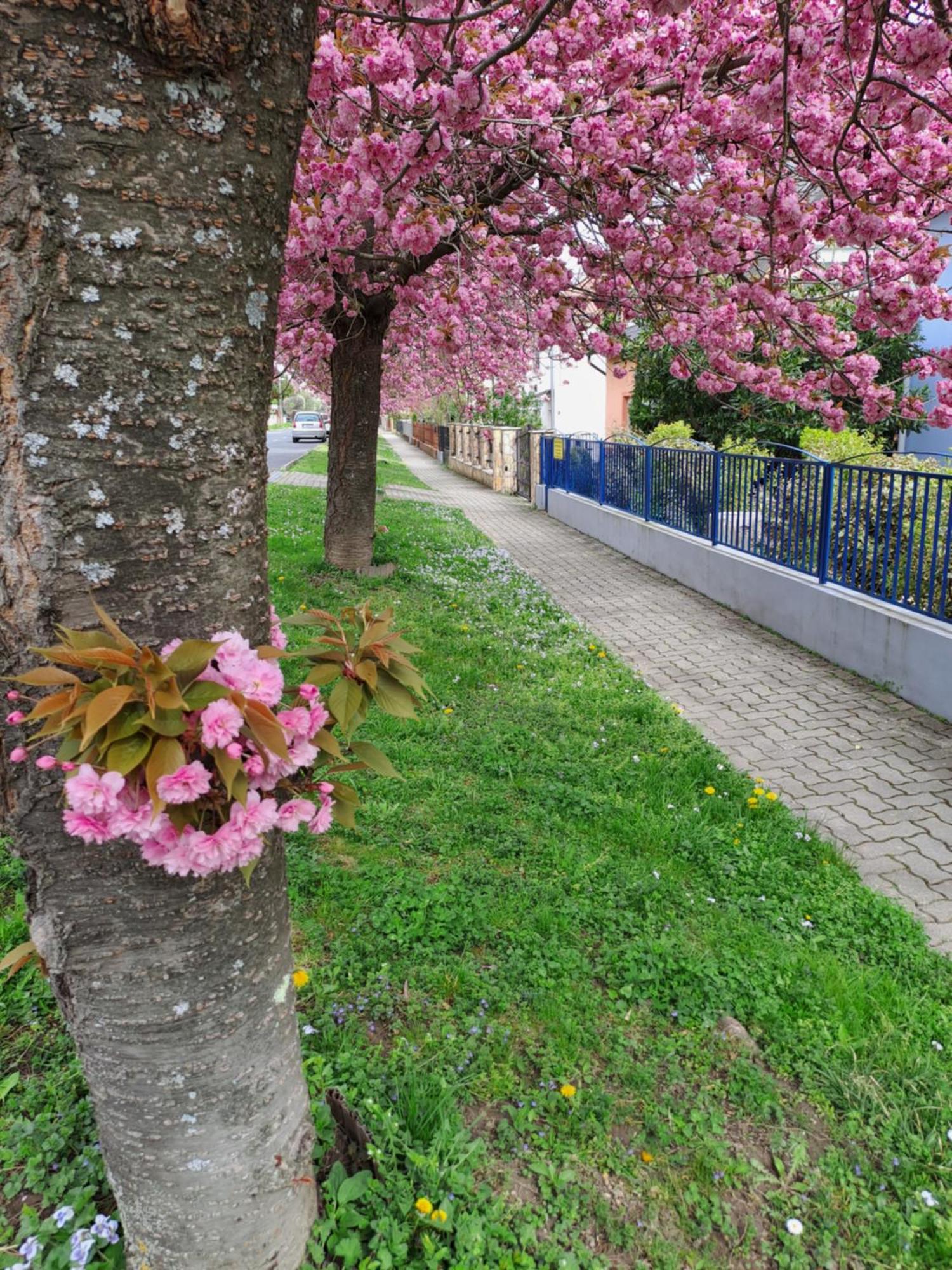 Laguna Apartmanhaz Héviz Zewnętrze zdjęcie