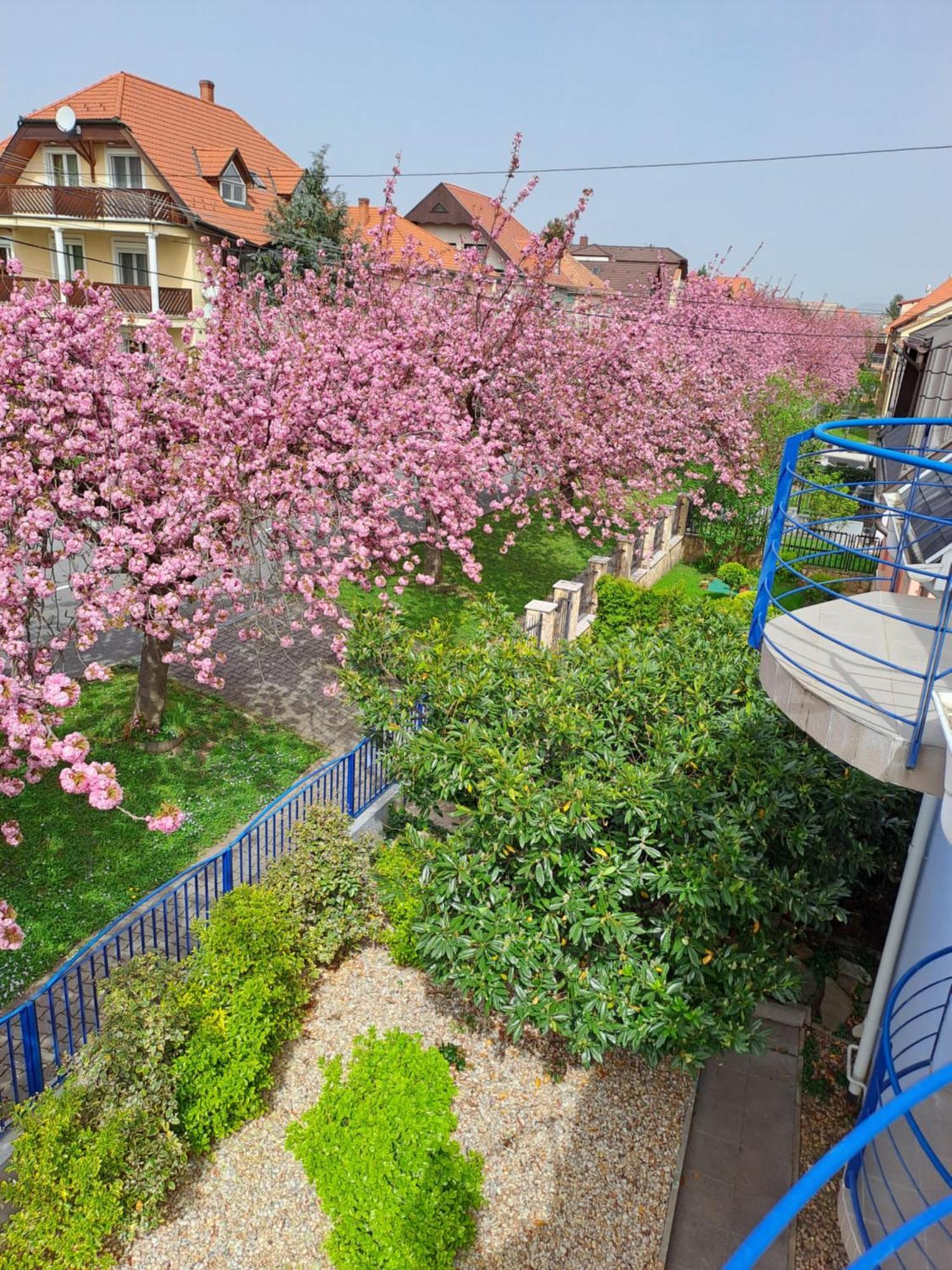 Laguna Apartmanhaz Héviz Zewnętrze zdjęcie